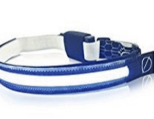 Halo X (Halo & Extra Battery)